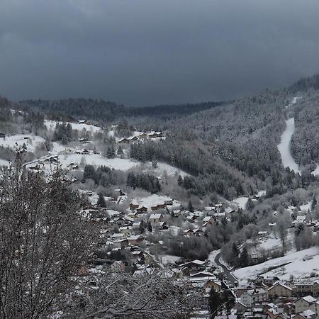 Apartement Sur Les Hauteurs De Gerardmer Avec Une Superbe Vue Exteriör bild