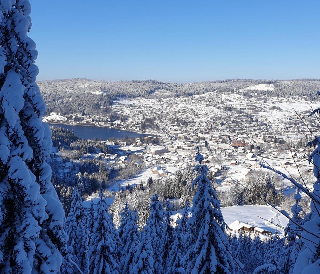Apartement Sur Les Hauteurs De Gerardmer Avec Une Superbe Vue Exteriör bild