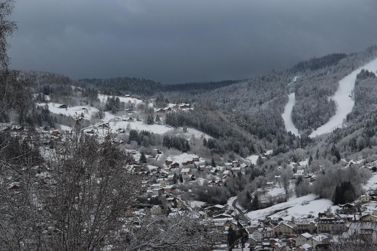 Apartement Sur Les Hauteurs De Gerardmer Avec Une Superbe Vue Exteriör bild